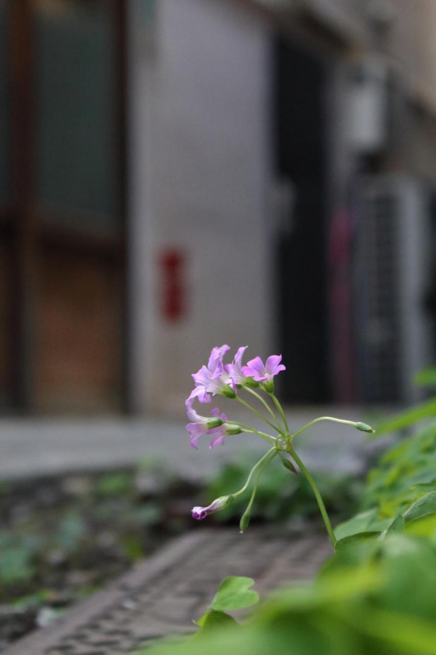 Chiyoda Inn Tōkyō Extérieur photo